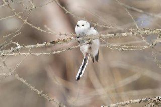 スリリング 2019.7.9（火）