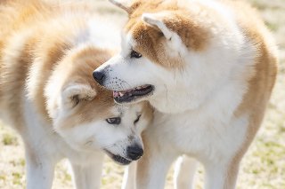 すりすり 2019.7.11（木）
