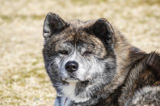 そろそろ 2019.7.20（土）