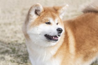 したためる 2019.7.23（火）