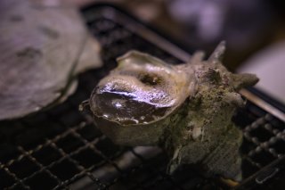 待つ時間 2019.7.28（日）