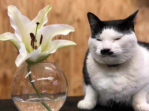 サブ店長もうっとり？（写真:斑目茂美）