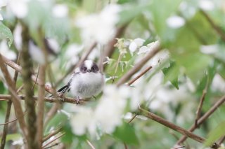 ムテキ 2019.8.5(月)