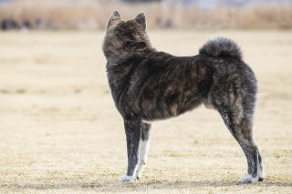 語録② 2019.8.7(水)