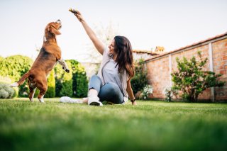 犬を飼いたいと思ったら…救える命があることも知ってほしい