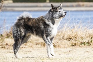 語録③ 2019.8.10(土)