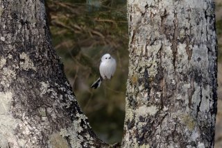 山の日 2019.8.11(日)