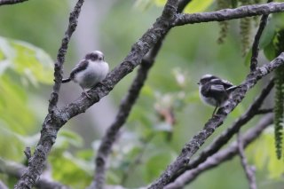 仲良く森林浴❤️ 2019.8.14(水)