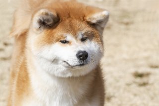 語録⑤ 2019.8.16(金)