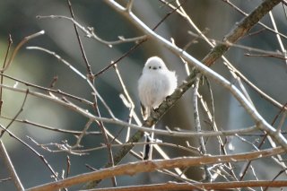 ガン見 2019.8.17(土)