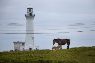 仲良し親子 2019.8.21(水)