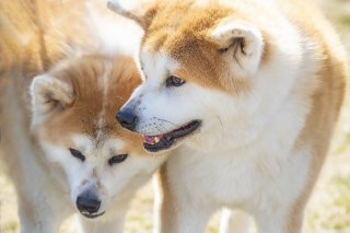 語録⑦ 2019.8.22(木)