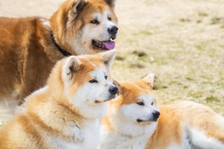 語録⑧ 2019.8.25(日)