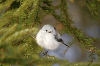 葉月 2019.8.26(月)