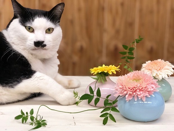 （写真:斑目茂美）