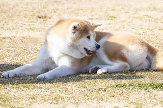 語録⑨ 2019.8.28(水)