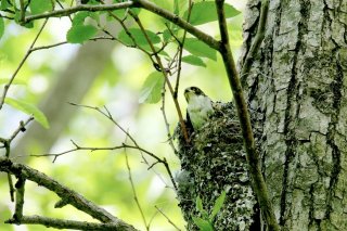 嵐の前の静けさ 2019.8.29(木)