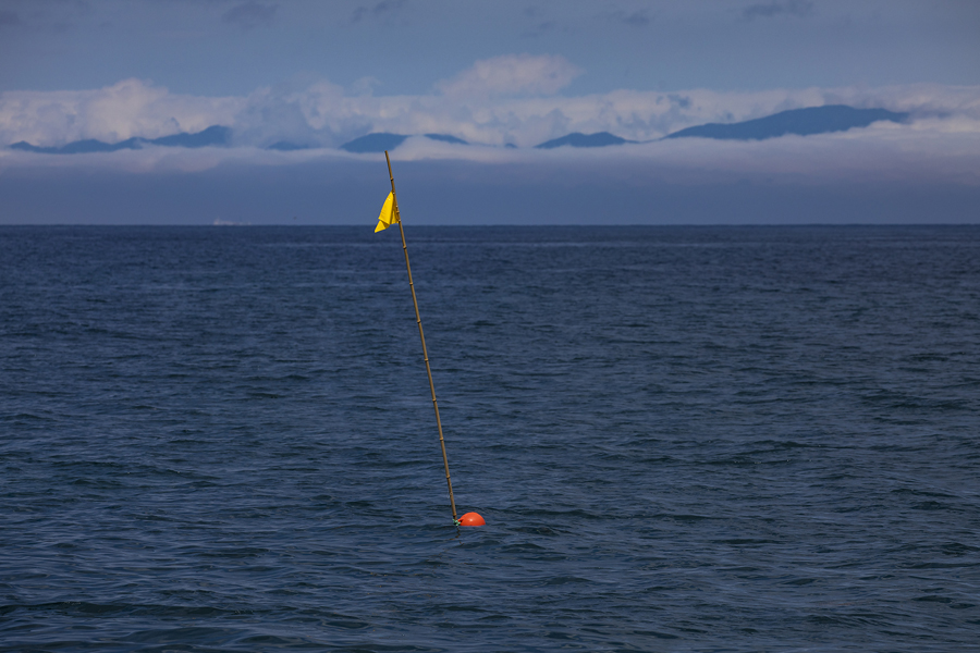 （Ｃ）Koji Takano