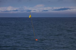 青一面の自由 2019.9.11(水)