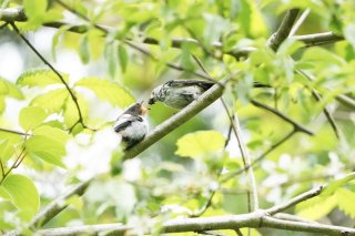 あーん♥ 2019.9.13(金)