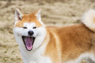 毛が一番 2019.9.15(日)