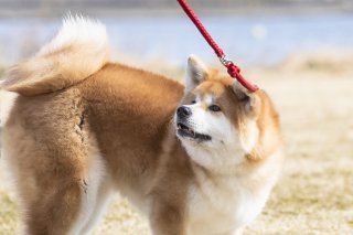 だから考える 2019.9.18(水)