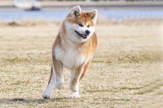 向上心 2019.9.21（土）