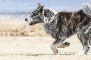 女も2種類 2019.9.24（火）