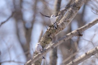 給料日 2019.9.25（水）