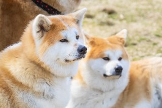 質問 2019.9.27（金）