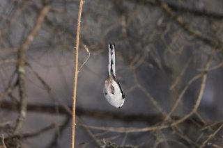 一心不乱 2019.9.28（土）