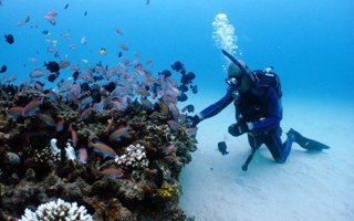 脳みそがまさかの「性感帯」に…81歳によるわたしの破壊的Ｈ