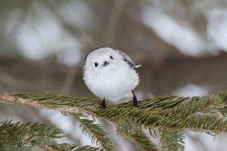 大安スタート 2019.10.1（火）