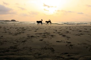 恐怖のリンパ浮腫疑惑と73歳卵巣がん患者に励まされた晩婚話