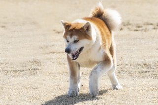 一択 2019.10.3（木）