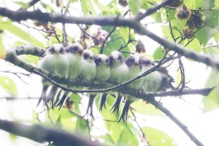 記念写真 2019.10.4（金）