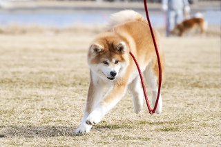 月旅行 2019.10.06(日)