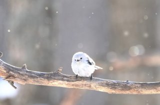 ダイエット 2019.10.7(月)