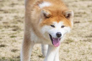 「熟」 2019.10.9(水)