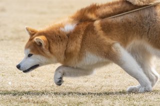 目的が大事 2019.10.12(土)