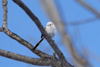 かつては 2019.10.10(木)