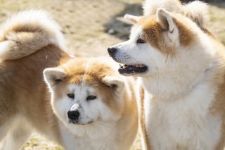 愛ある本音 2019.10.15(火)