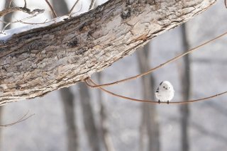 がんばれ北陸新幹線 2019.10.16(水)