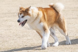 追わない代わりに 2019.10.18(金)