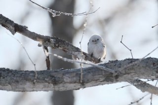 見つめないで 2019.10.19(土)