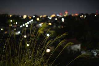 月に照らされて 2019.10.20(日)