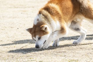 履いてないけど? 2019.10.21(月)