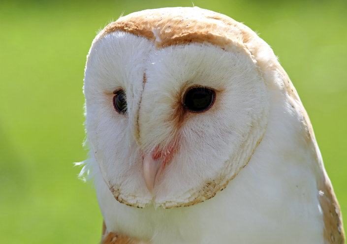 黒目を強調しすぎるのも考えもの（写真:iStock）