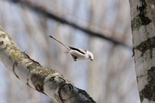 冬まで 2019.10.25（金）