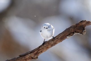 今週も 2019.10.28（月）